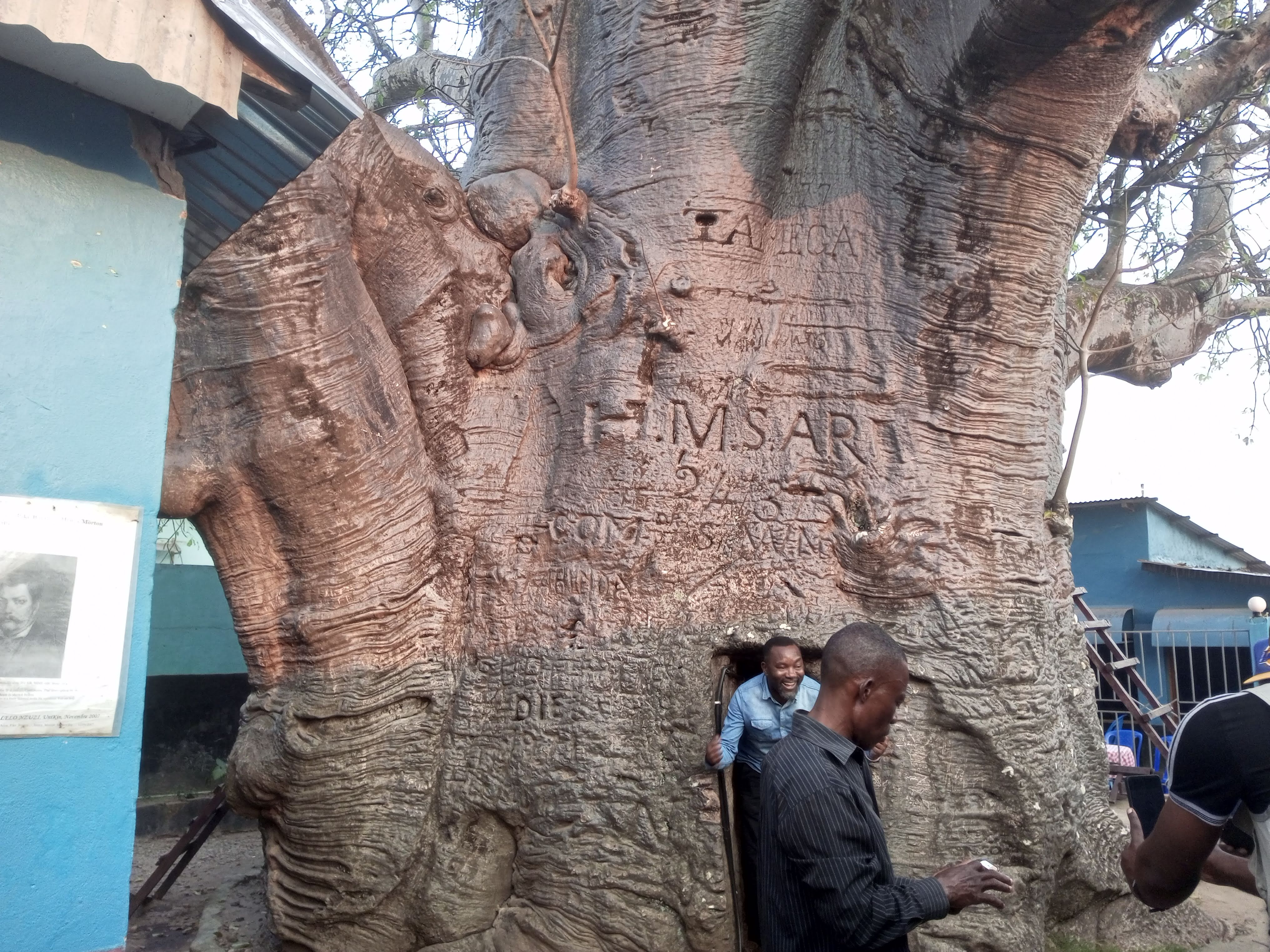 Baobab qui a accueilli Stanley